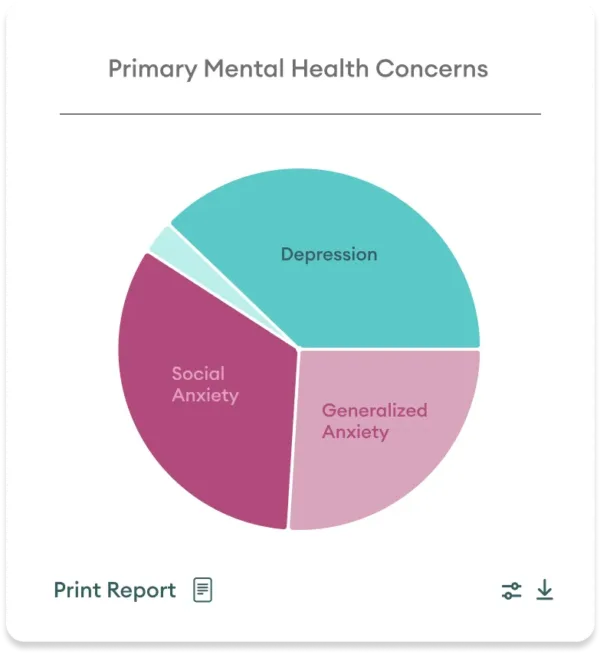 Image of Primary Mental Health Concerns UI as a pie chart (demonstrative graphic)