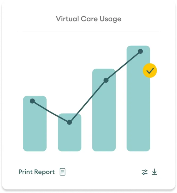 Image of Virtual Care Usage UI